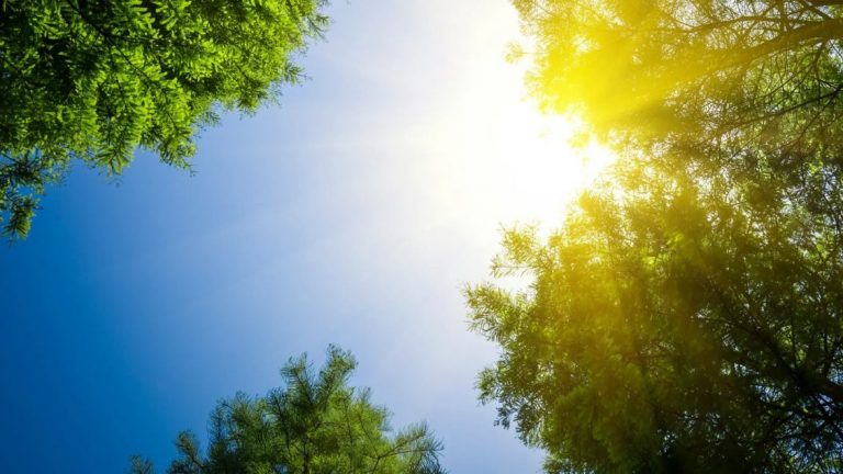 Parashikimi i motit, deri në 26 gradë temperaturat maksimale