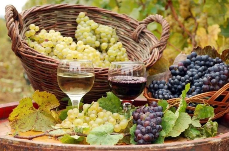 Rrushi: fruti i pasur me antioksidantë shërues për zemrën dhe zorrët