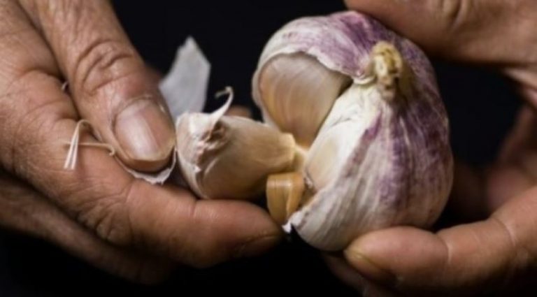 Si ndikon konsumimi i hudhrës në shëndetin tuaj?