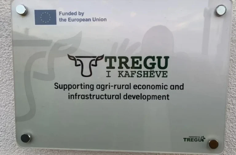 Më 18 nëntor bëhet hapja e tregjeve si: “Tregu i Kafshëve”, “Tregu i Lëndëve Djegëse”, “Tregu i Rërës” dhe “Tregu i Plaçkave”