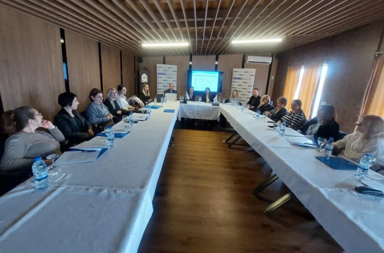 Mbahet punëtoria për hartimin e planeve të biznesit për gratë nga komuniteti serb