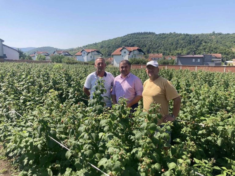 Drejtori Isufi ka vizituar fermerin e përkushtuar Vebi Halilin në fshatin Malishevë
