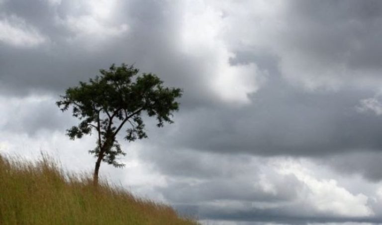 Sot më freskët dhe riga shiu