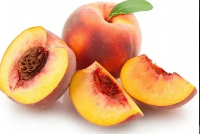 Pjeshka dhe dobitë e saj për shëndetin