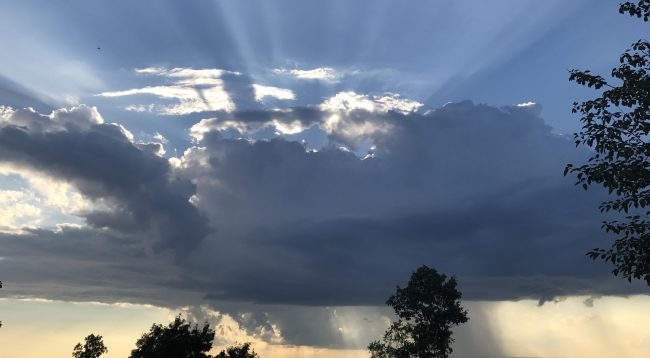 Moti sot: I vranë dhe me diell