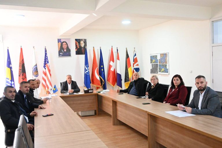 Komuna e Vitisë nisi përgatitjet për shënimin e festës së 28 nëntorit