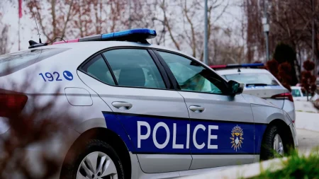 Sekuestrohet dy lloje armësh një bajonetë dhe 30 fishek në Begucë të Vitisë