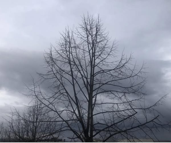 Moti sot i vranët dhe me reshje të herëpashershme shiu