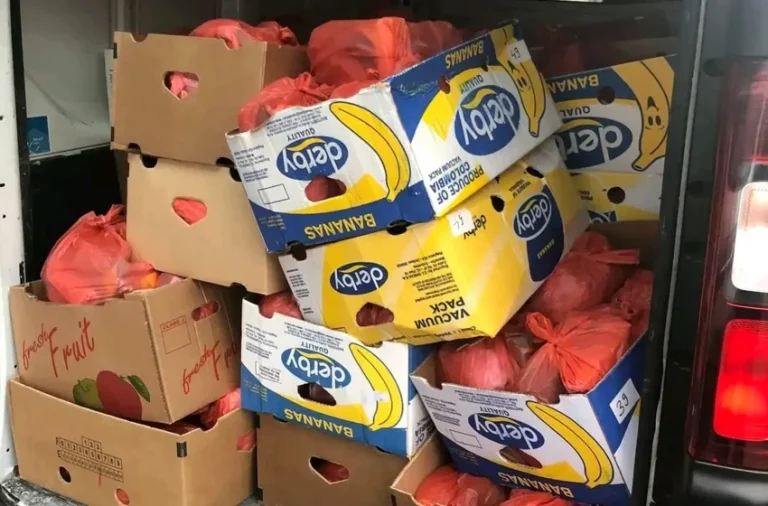 Shpërndahen pako ushqimore për familjet në nevojë në Viti