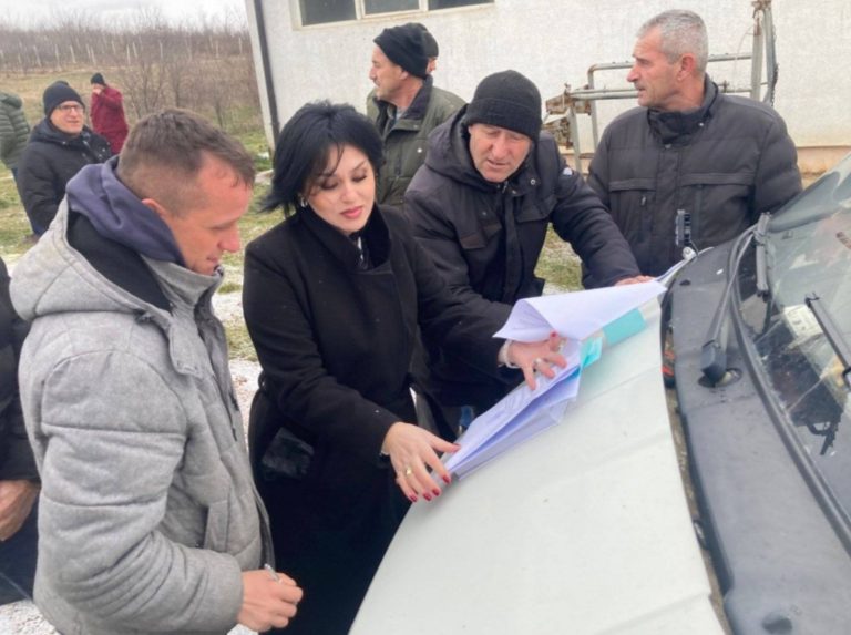 Shpërndahen 4 krerë gjedhe për fermerët e Komunës së Gjilanit