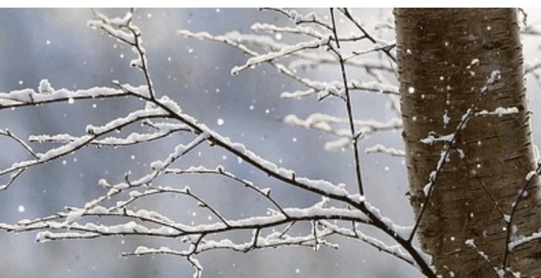 Moti sot i vranët në orët e mëngjesit dhe mundësi për reshje të izoluara bore