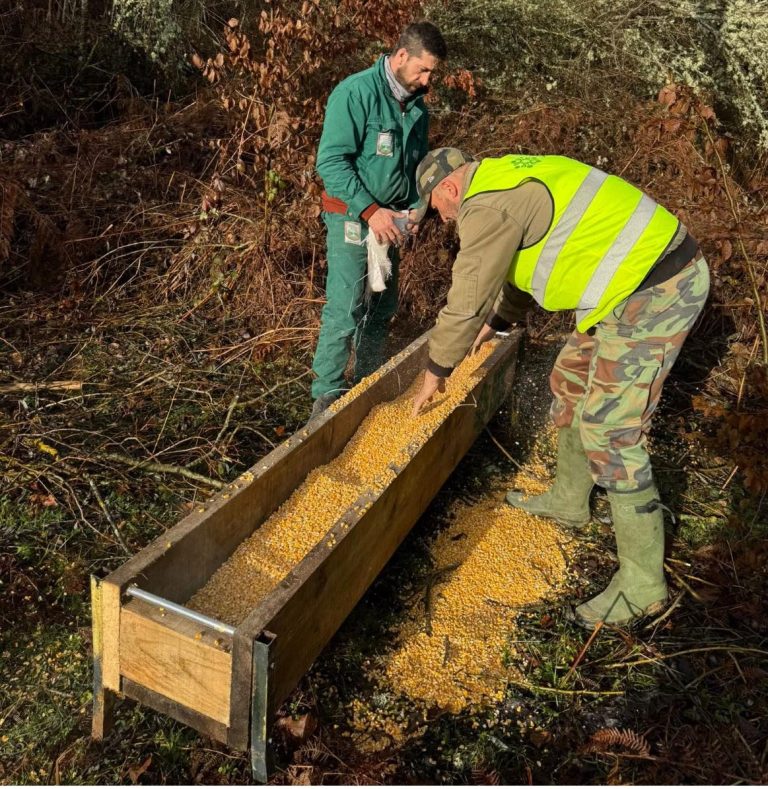 Ndërmarrja Publike Dardana në Kamenicë ka filluar furnizimin me ushqim për kafshët e egra