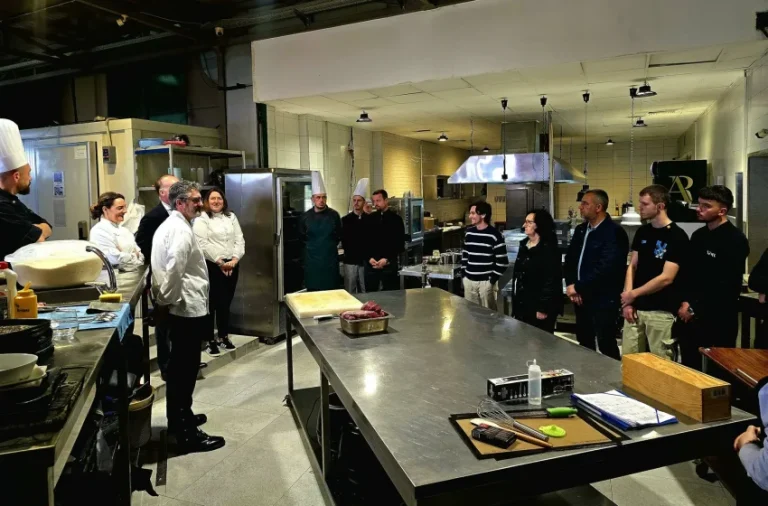 Mbahet Java e Frankofonisë, me aktivitete të ndryshme në Gjilan