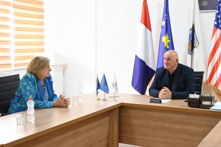 Ambasadorja e NDI-së, Nancy Soderberg është pritur nga kryetari i Vitisë, Sokol Haliti